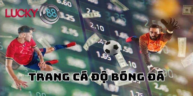 Các loại hình cá cược tại nhà cái Lucky88